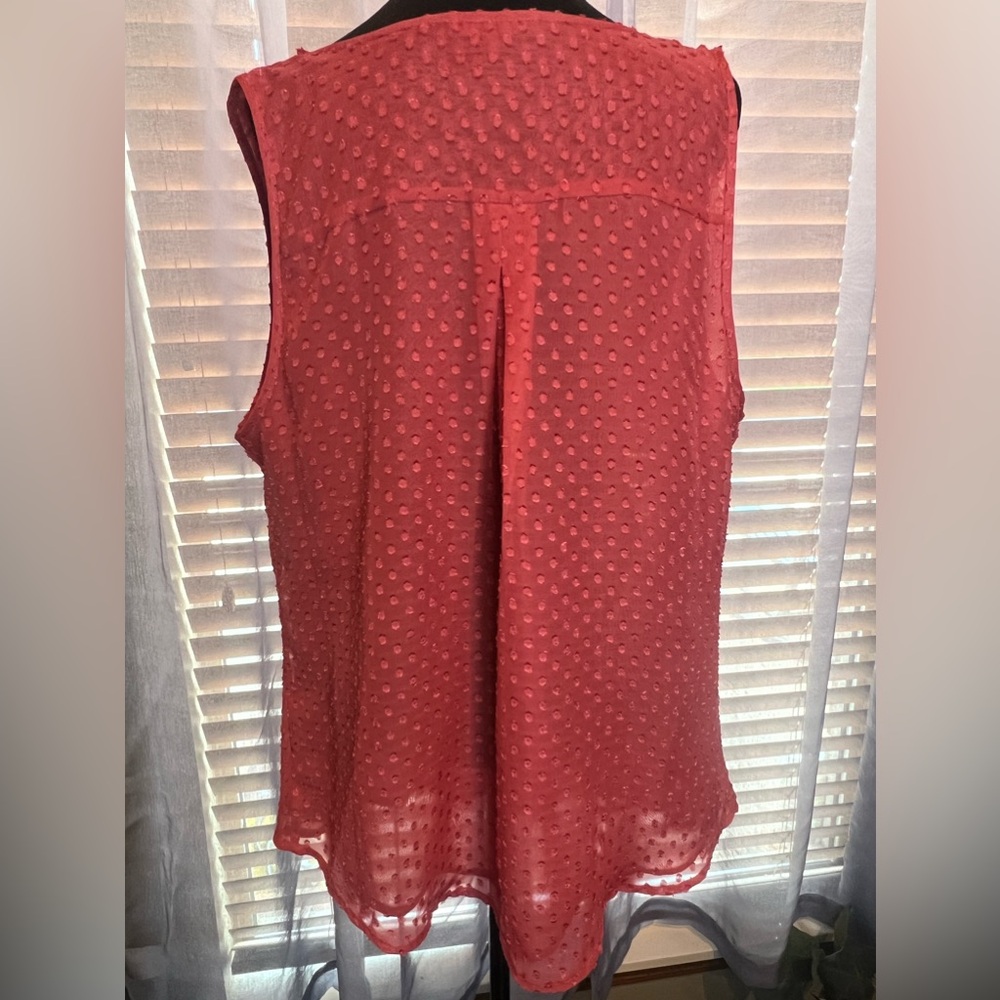 Danielrainn beautiful coral sheer cowl neck top - Picture 3 of 7